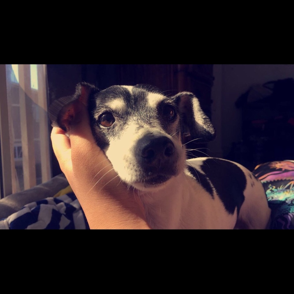 Meet your Posher, Khankham